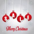 Christmas in roidspro.com - biggest discounts ever!